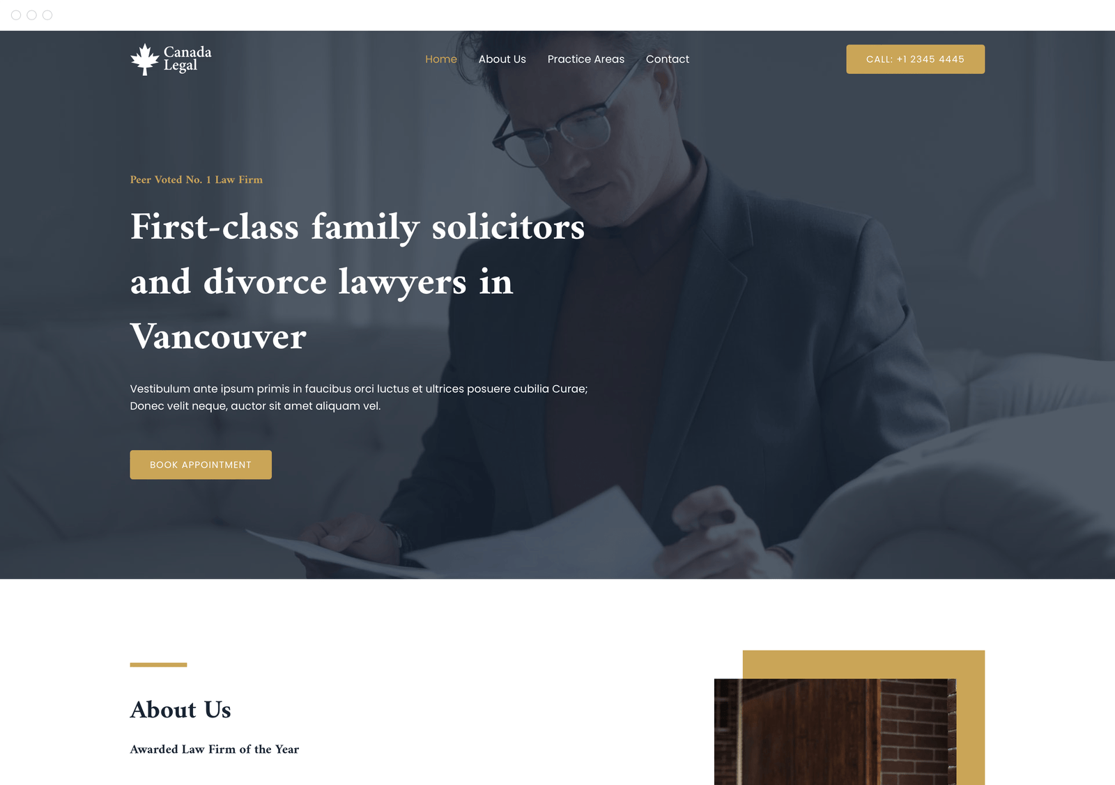 Family Lawyer Portfolio Image